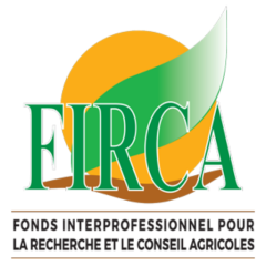 FIRCA