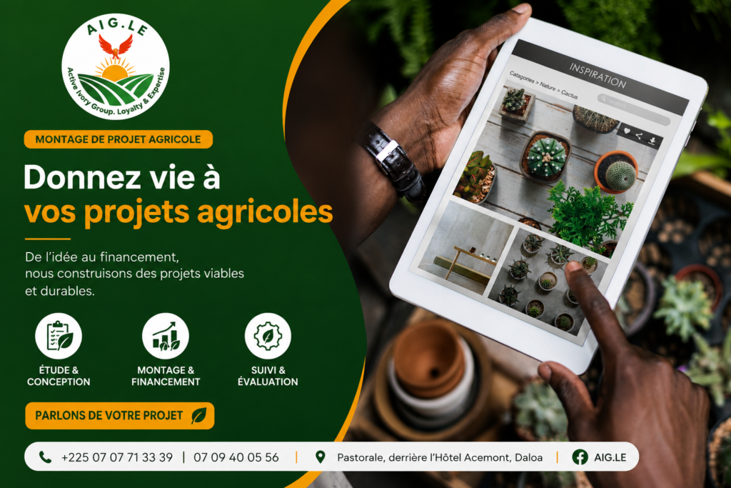 Montage de Projet