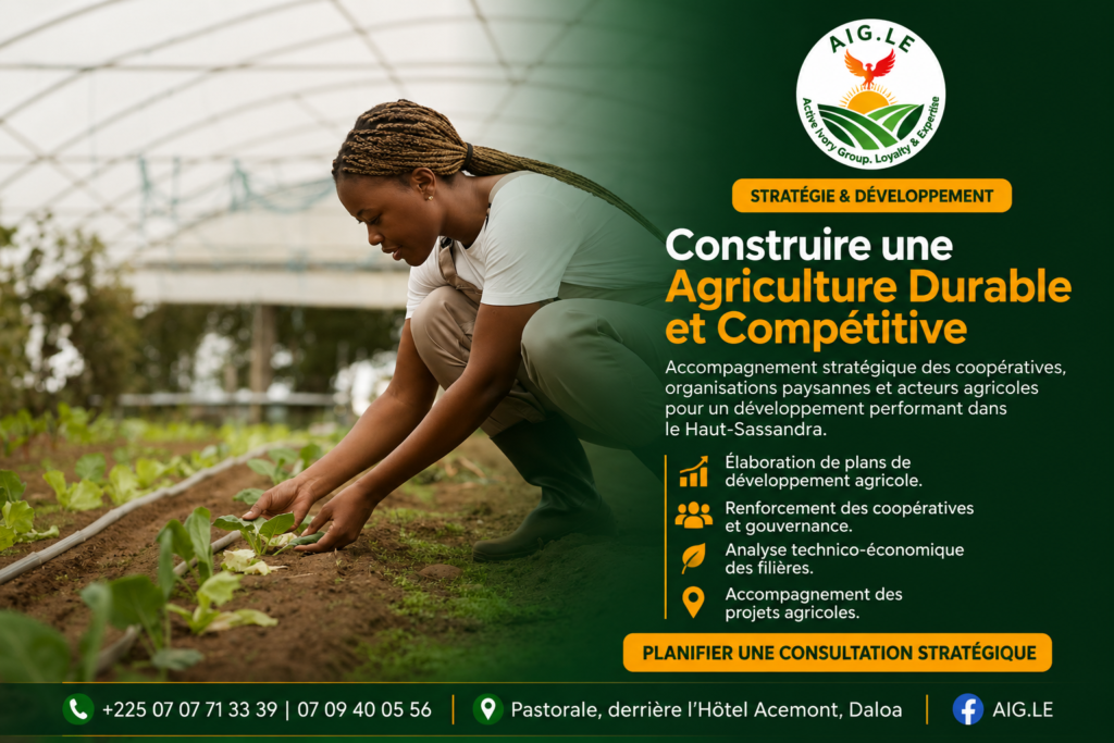  Stratégie et Développement 